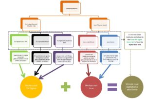 Lean-Six-Sigma-professionals-schematisch-weergegeven2