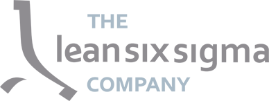 The Lean Six Sigma Company